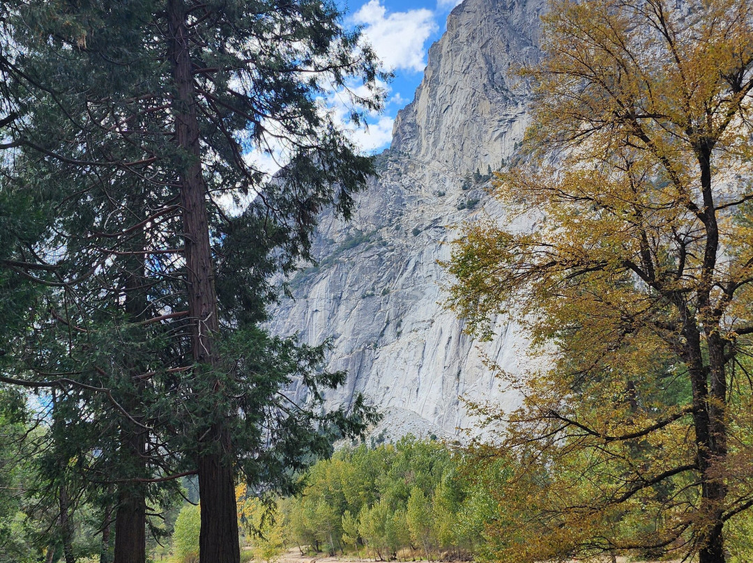 Yosemite Private Tours-Wawona必去景点