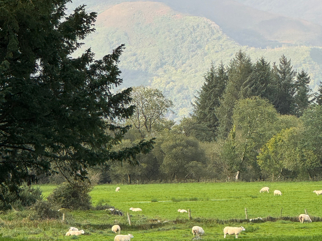 Elite Tours Ireland-利默里克必去景点