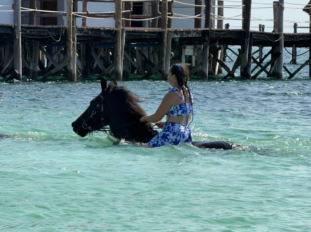 Royal Stable Zanzibar-米查维必去景点
