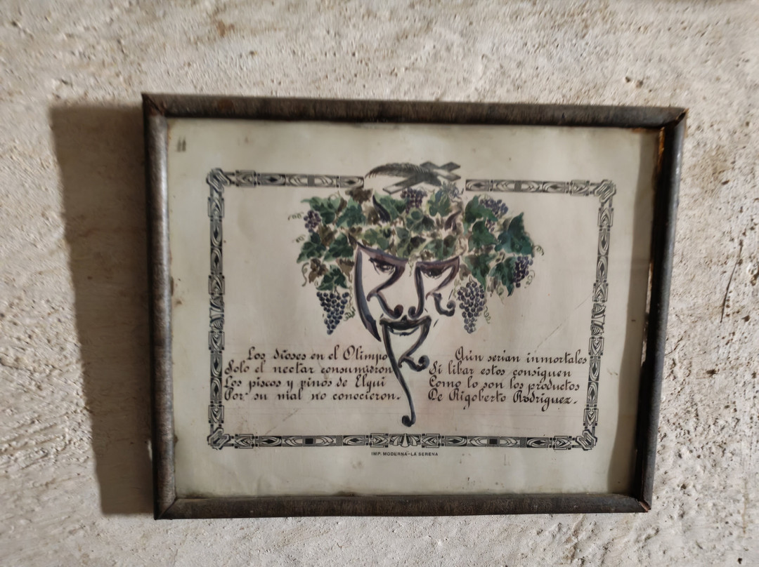 Fundo Los Nichos-Pisco Elqui必去景点