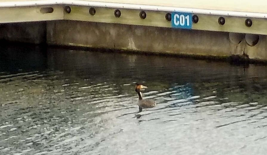 Wyndham Harbour-韦里比必去景点