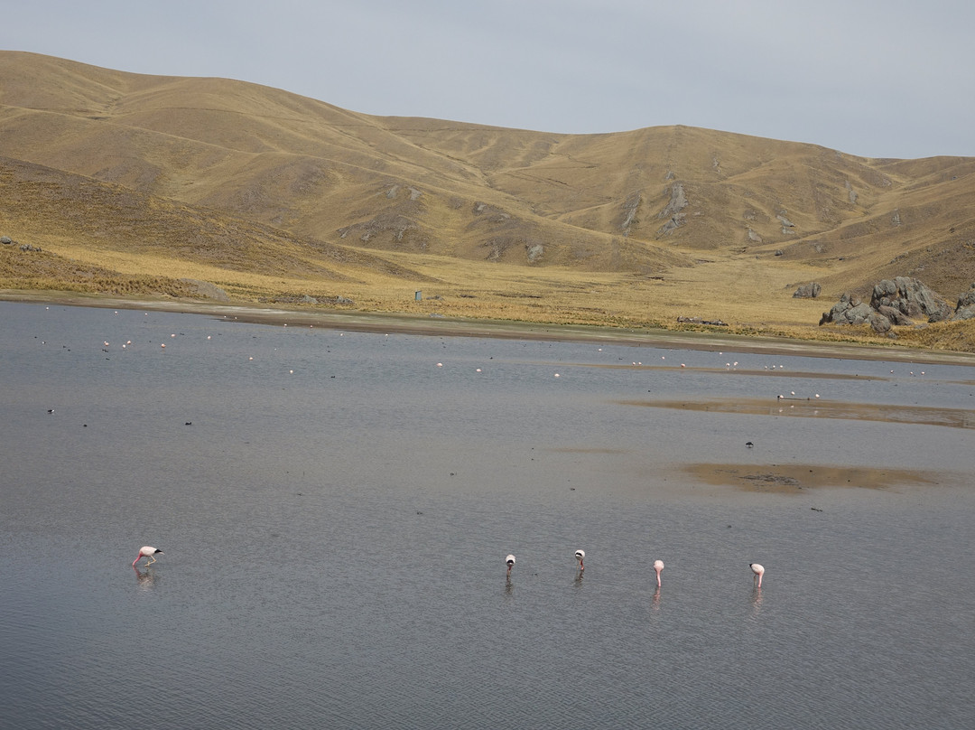 Laguna Lagunillas-Santa Lucia必去景点