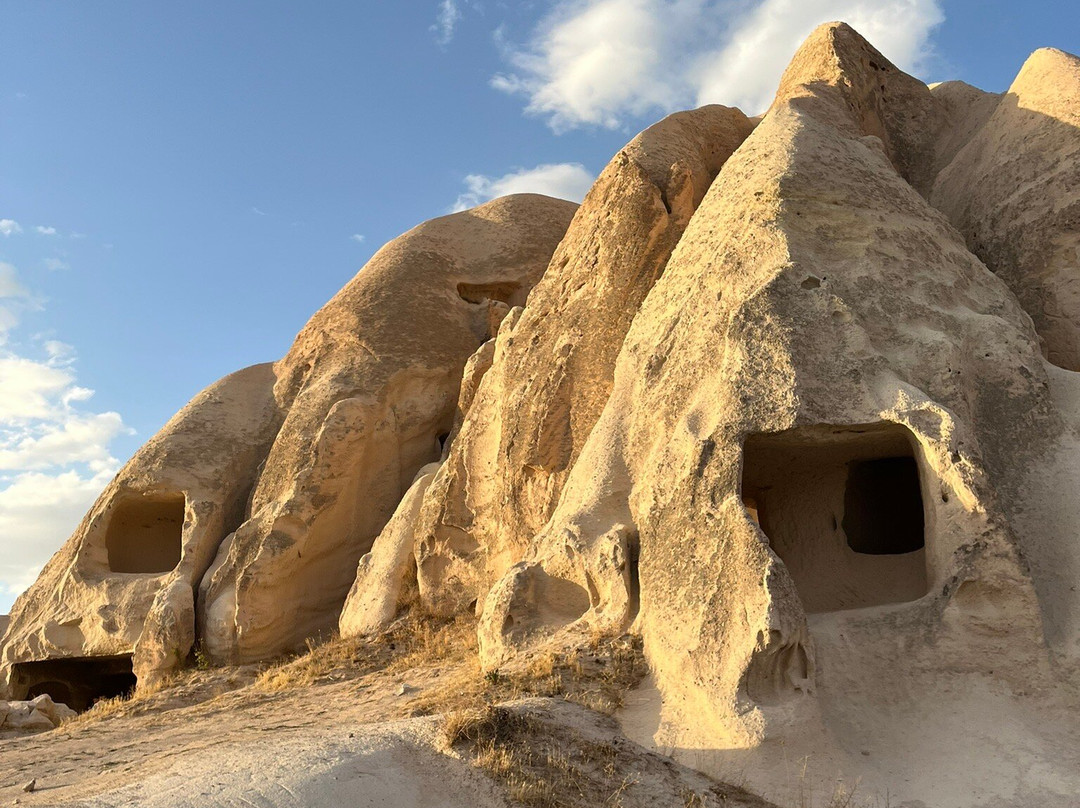 Moonlight Horse Ranch-格雷梅必去景点