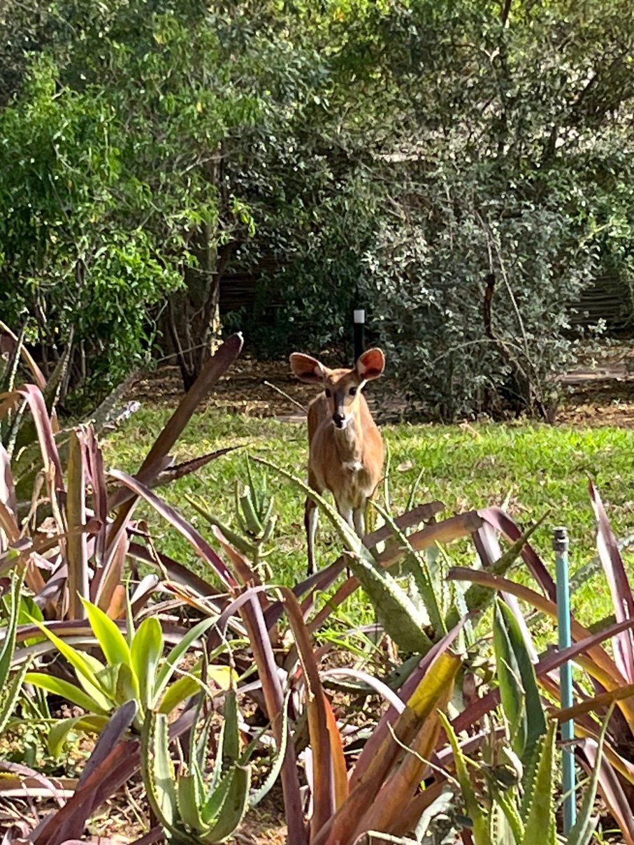 Savanna Private Game Reserve-浴室