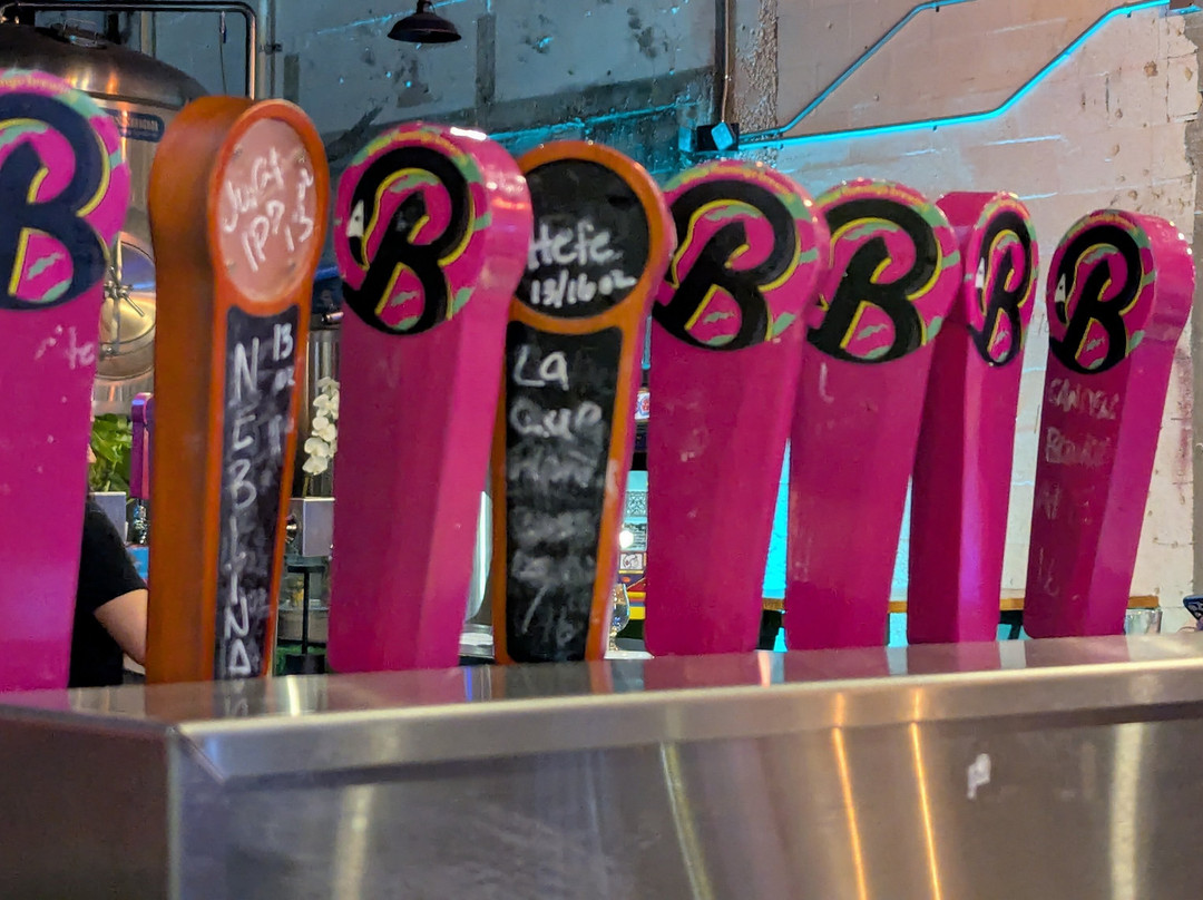 Black Flamingo Brewing-庞帕诺比奇必去景点