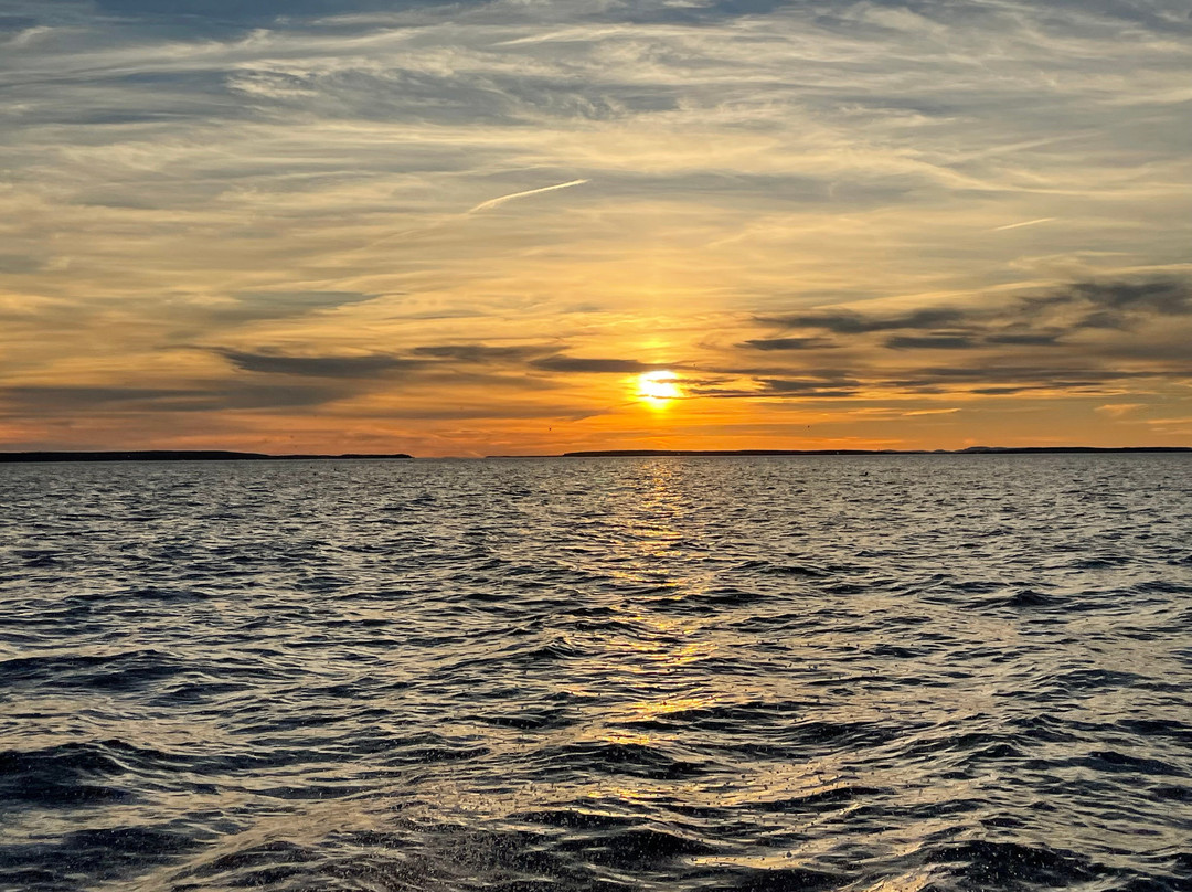 Island Cruises-Bass Harbor必去景点