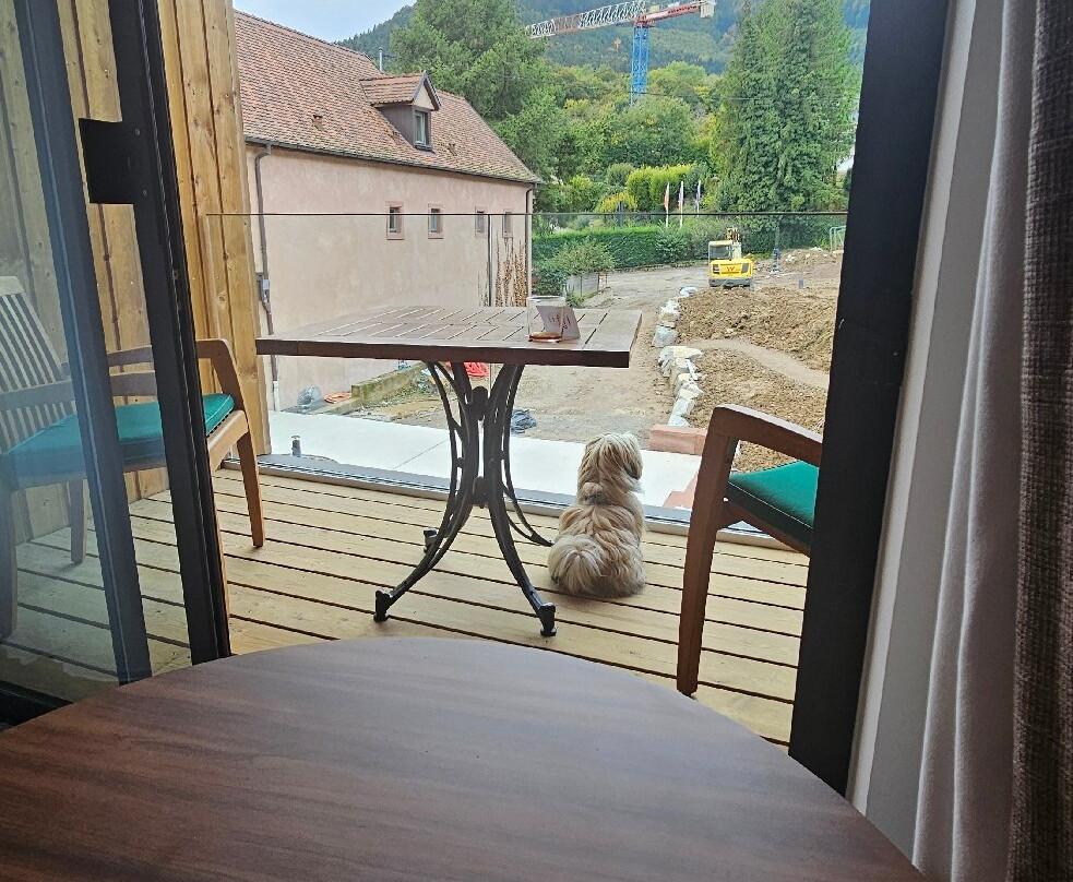 Hotel Restaurant L'Ami Fritz主图