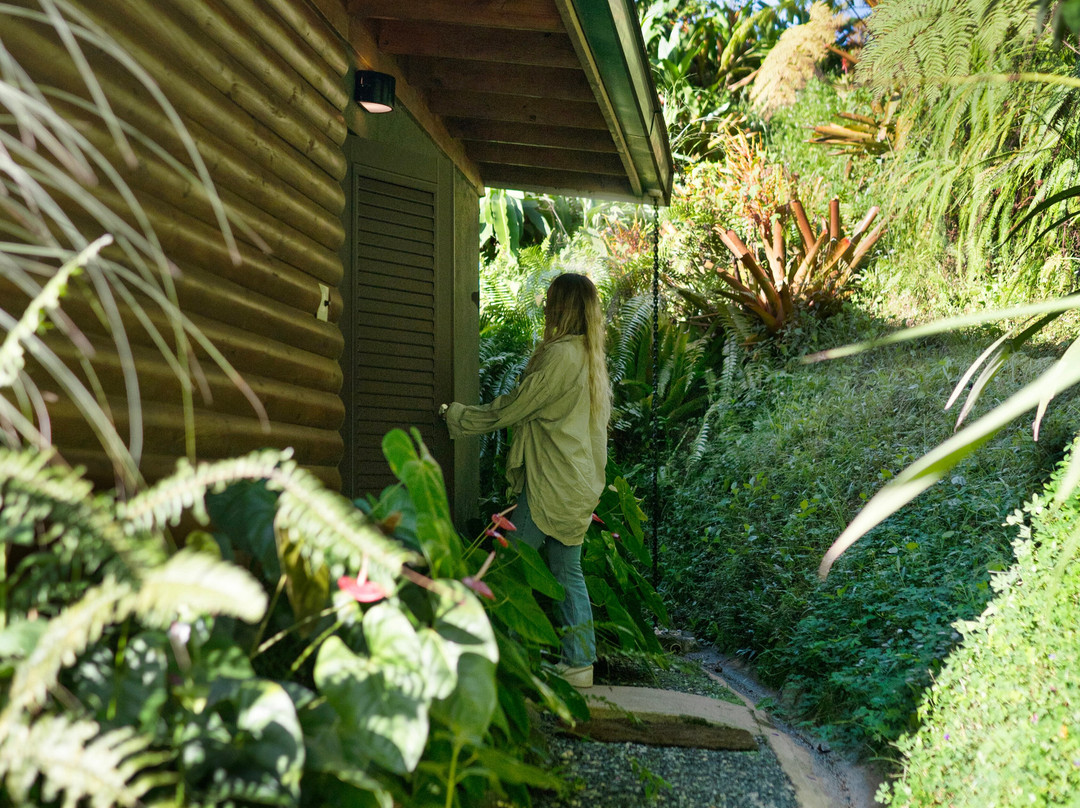 Mont Carpe Diem主图