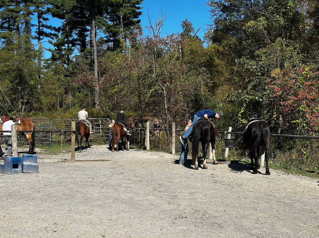 Mountain Creek Riding Stable-Cresco必去景点