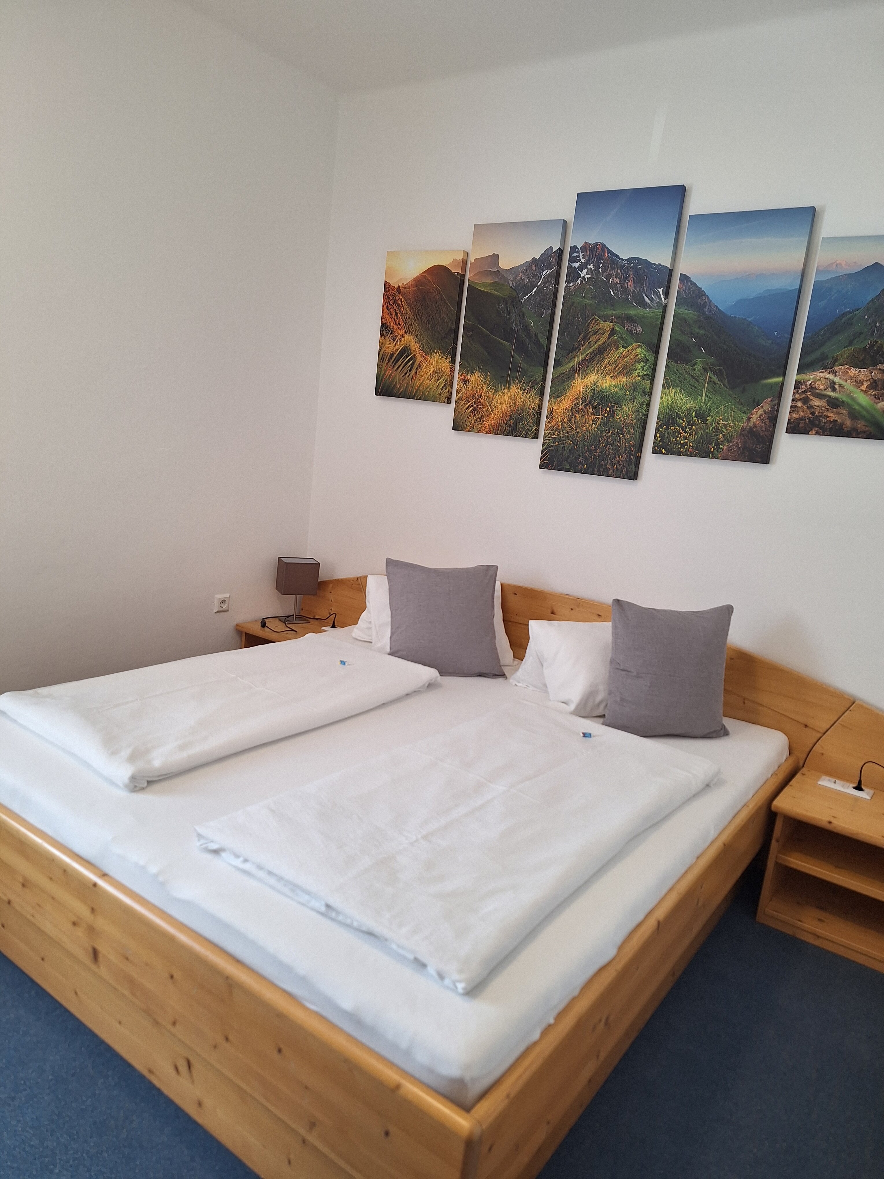 Haus Scheiblauer-客卧