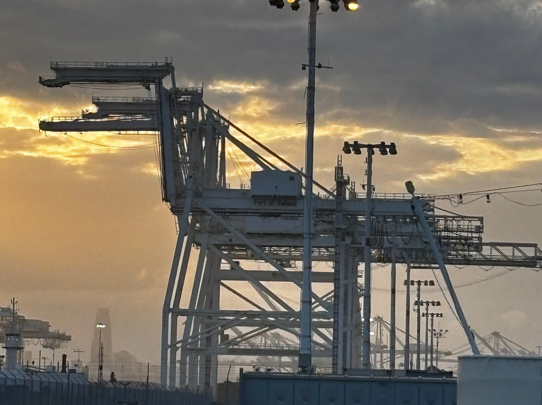 Port View Park-奥克兰必去景点