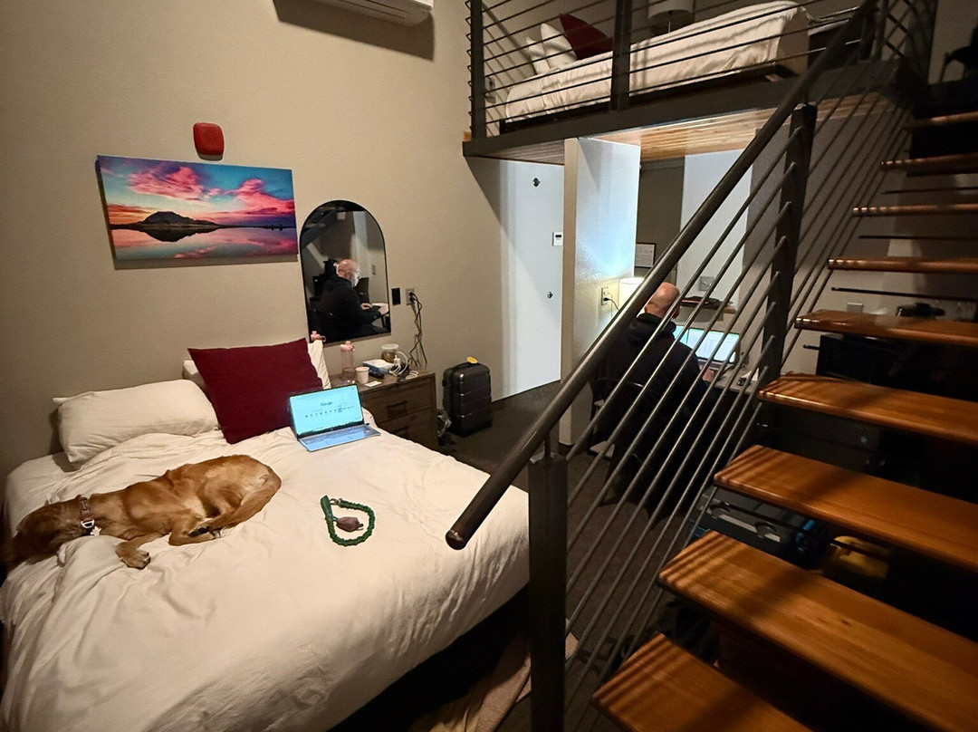 The Hotel Sturgis主图