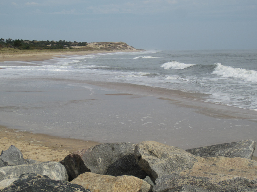 Cape Henlopen State Park-刘易斯必去景点