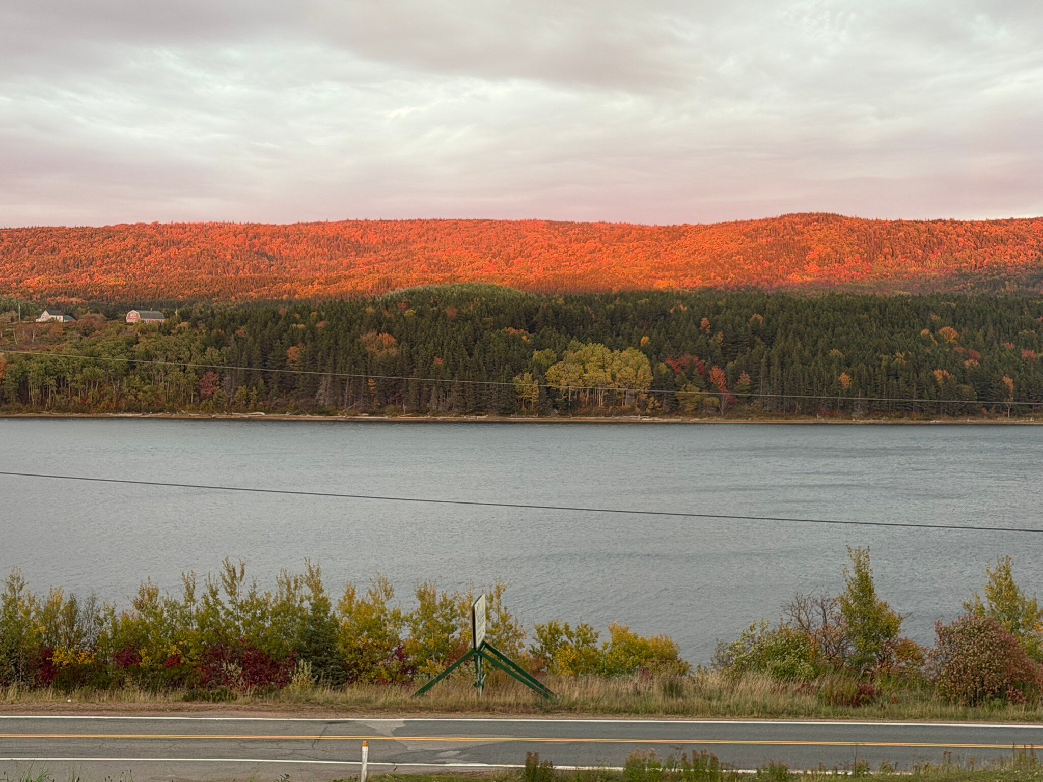 Duck Cove Inn-官方