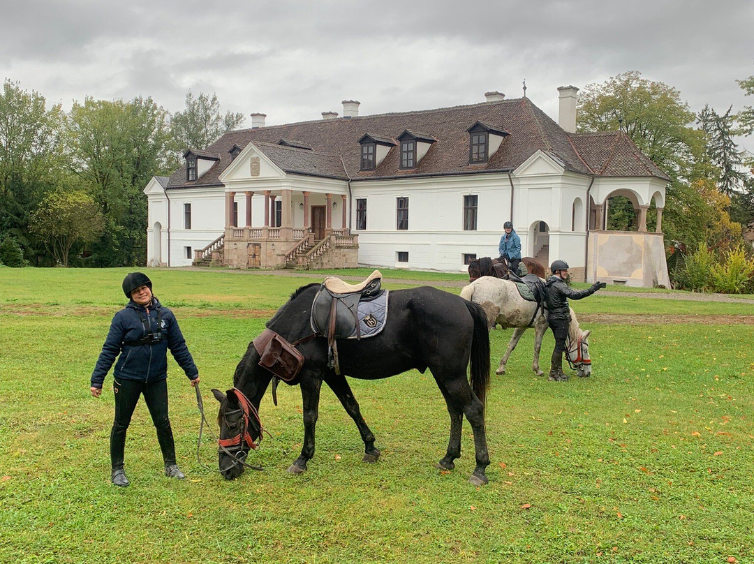Count Kálnoky's Riding Holidays-Valea Crisului必去景点