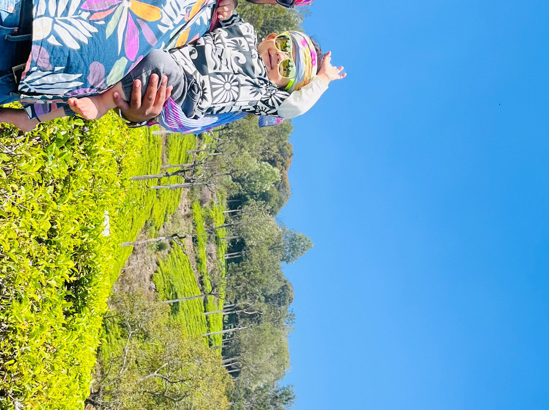 Indian Adventures-浦那必去景点