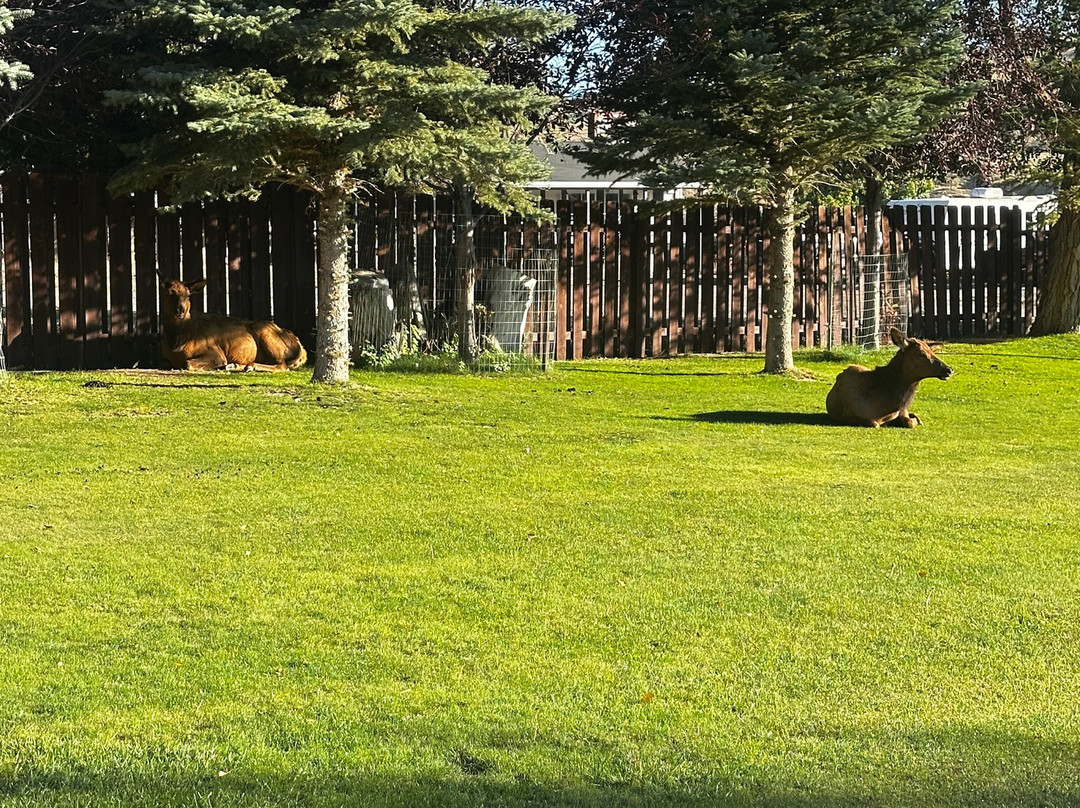 黄石村酒店主图