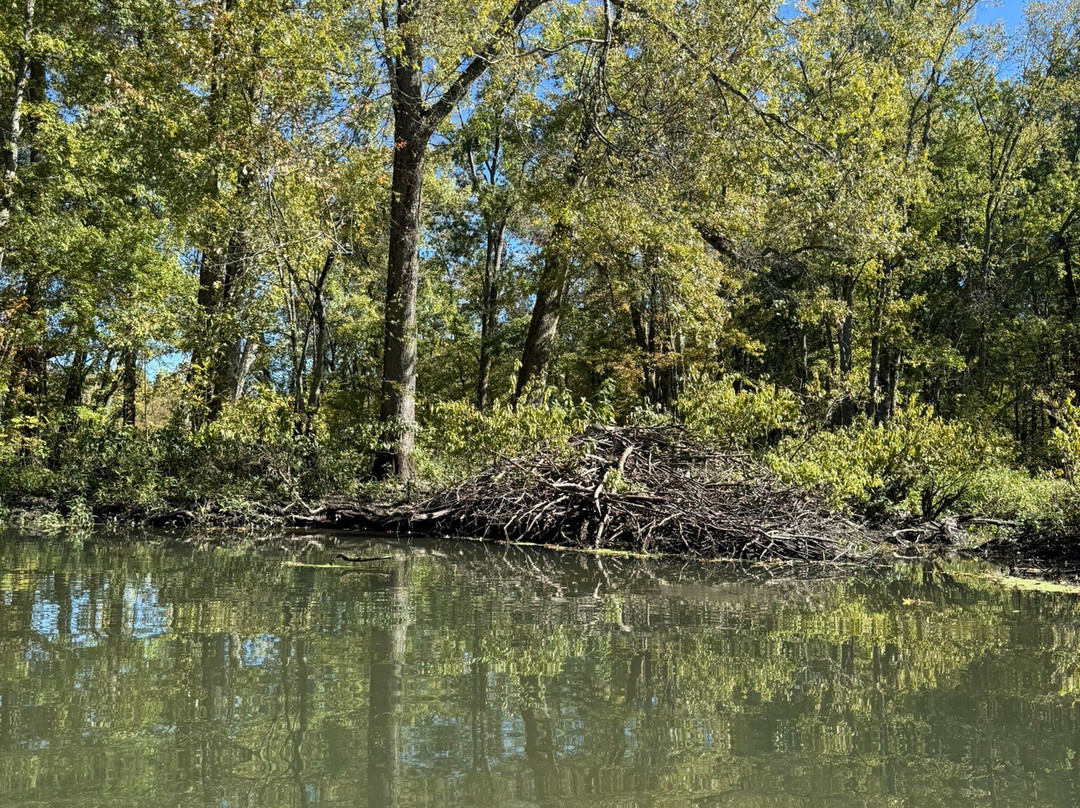 Camp Hi Canoe Livery-Hiram必去景点