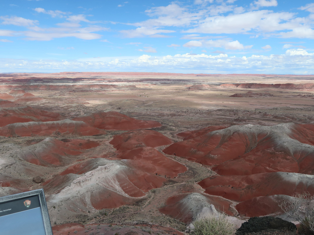 Petrified Forest National Park-霍尔布鲁克必去景点