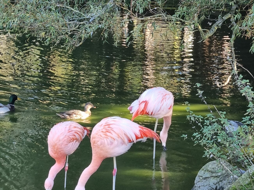 Auchingarrich Wildlife And Adventure Park-Comrie必去景点