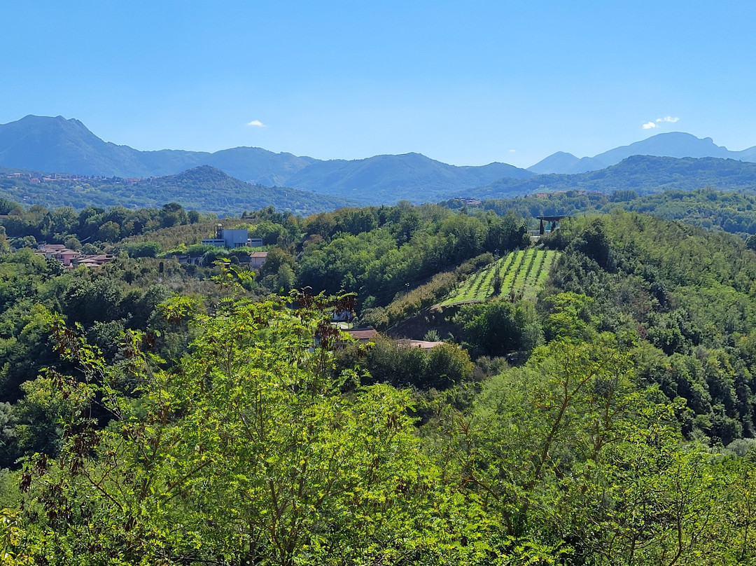 Italy Driving Guide-罗马必去景点