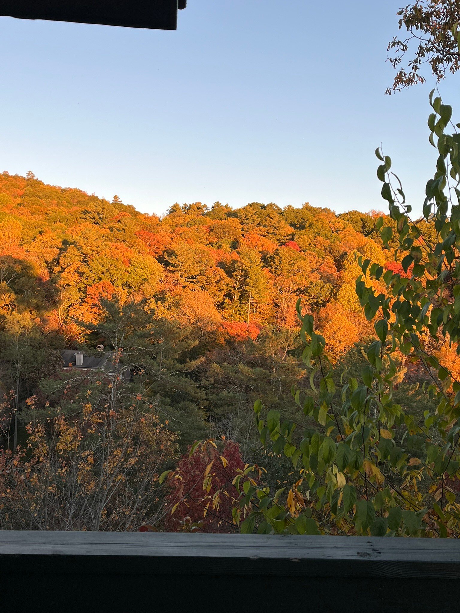 Skyline Lodge-官方
