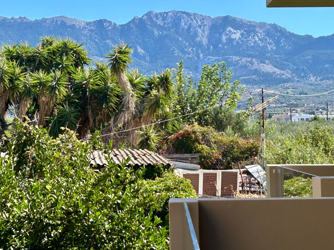 Time to Smile Saline