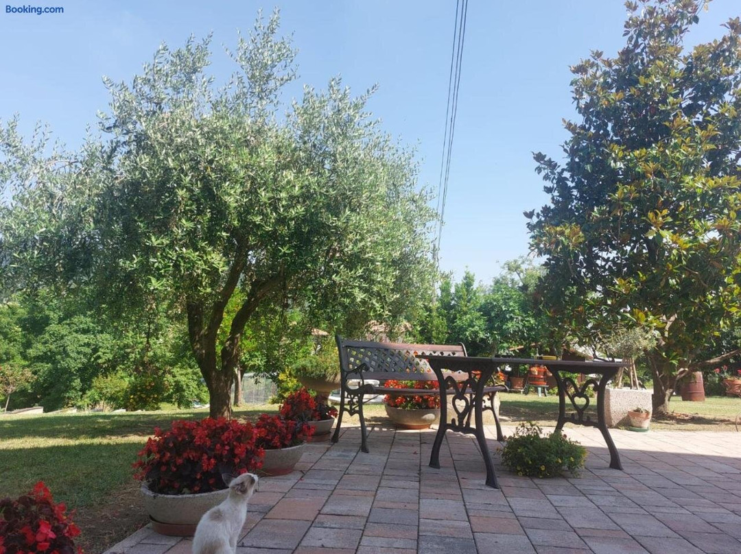 B&B Straccialena