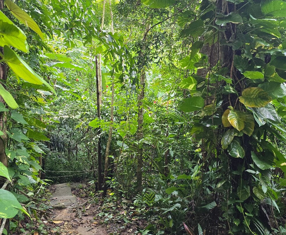 Khao Lak-Lam Ru National Park-Khuekkhak必去景点