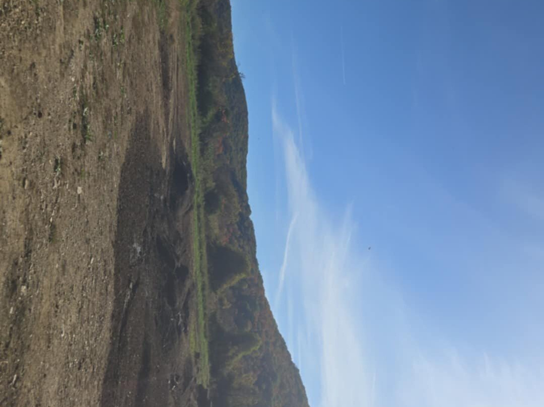 Backyard Adventure UTV Tours-East Canaan必去景点