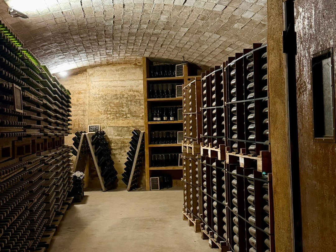 Cava Sola Raventos-桑特萨杜尔尼达诺亚必去景点