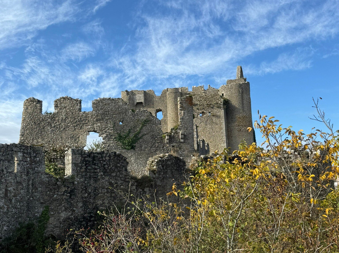 Château d'Angles-sur-l'Anglin-Angles sur l'Anglin必去景点