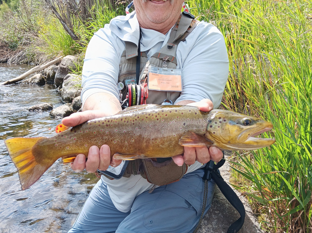 Days Inn by Wyndham Carbondale主图