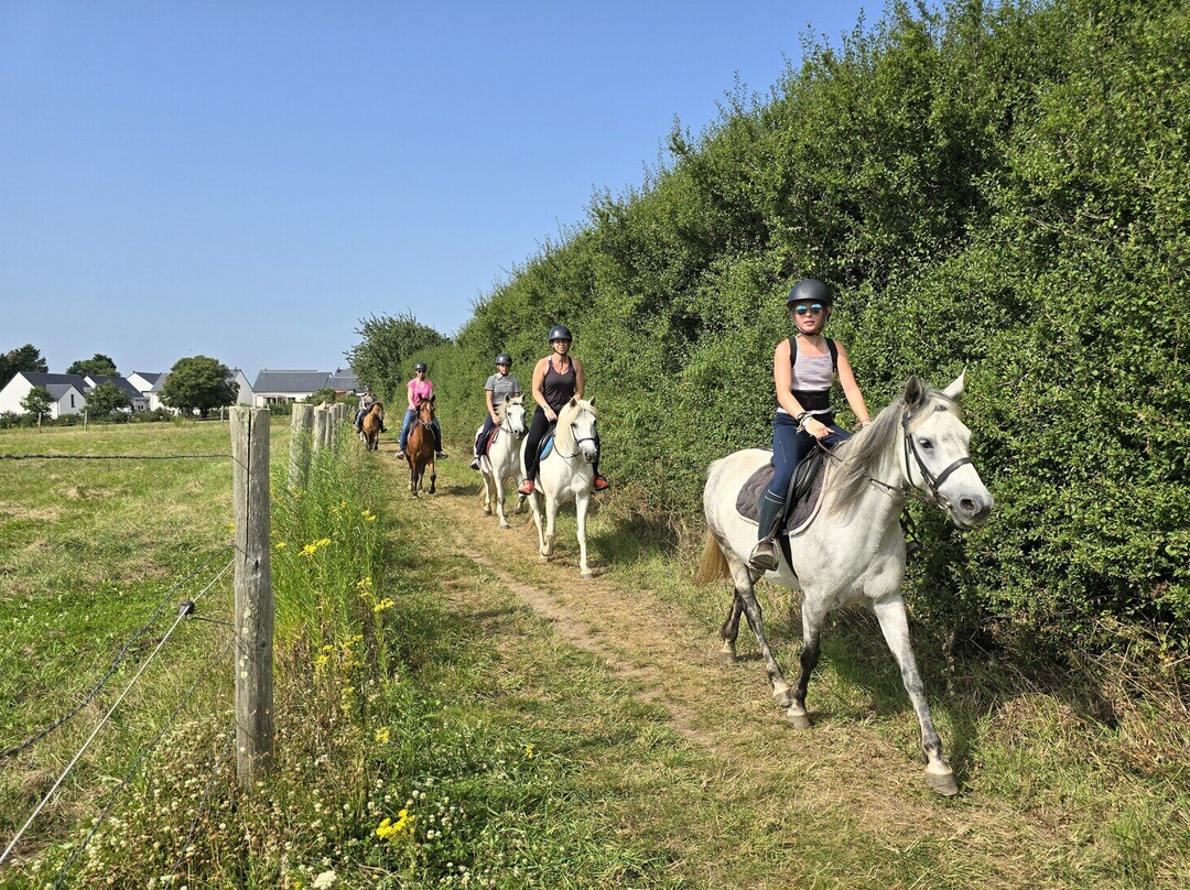 Camping Mane Guernehue