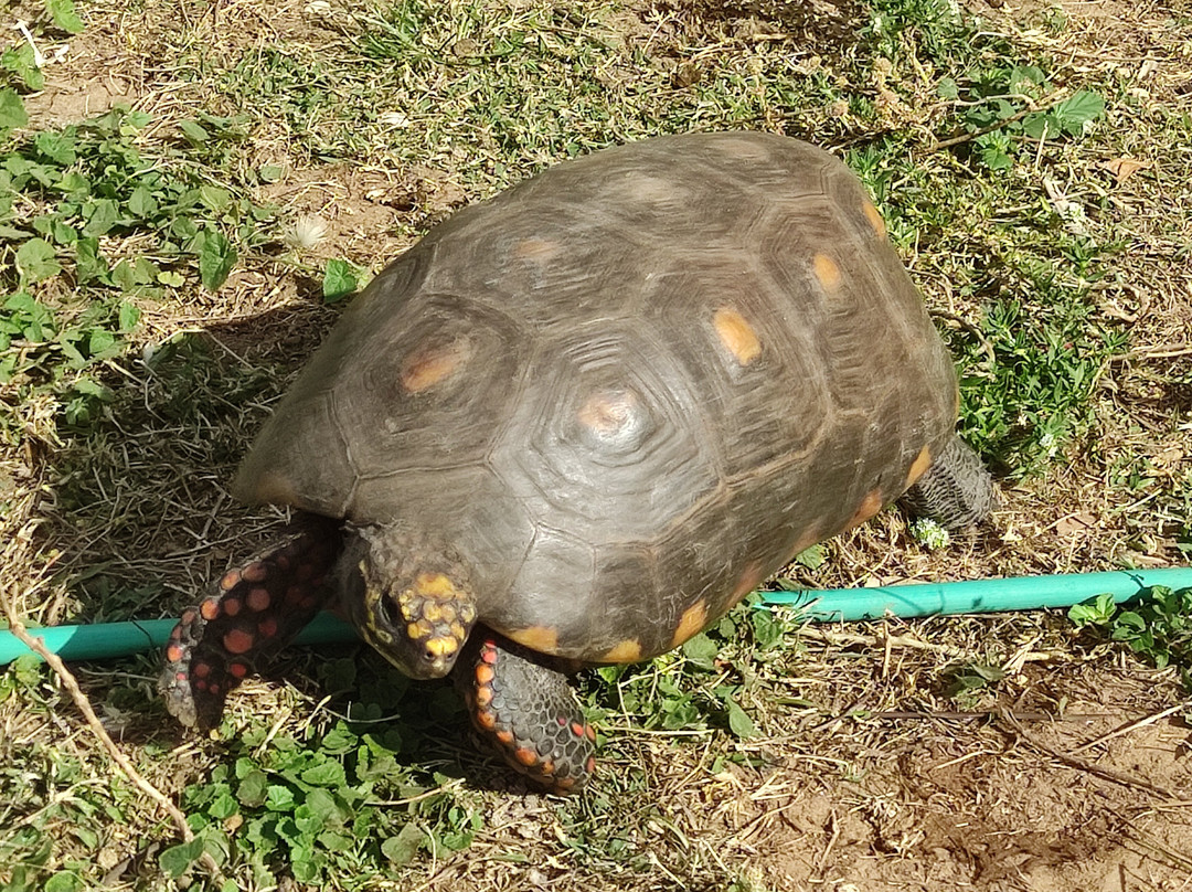 EcoParque Guaraíras-Senador Georgino Avelino必去景点