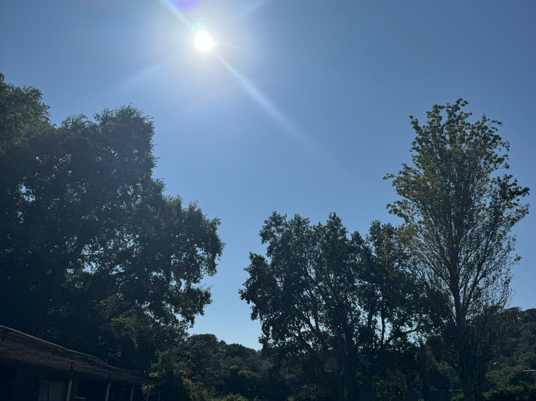 Avalon Holistic Ayahuasca Retreats-巴塞罗那必去景点