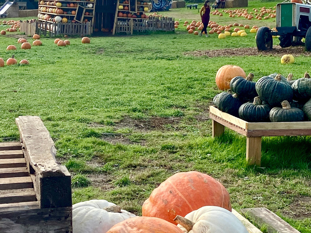 Discovery Land at Priory Farm-Nutfield必去景点