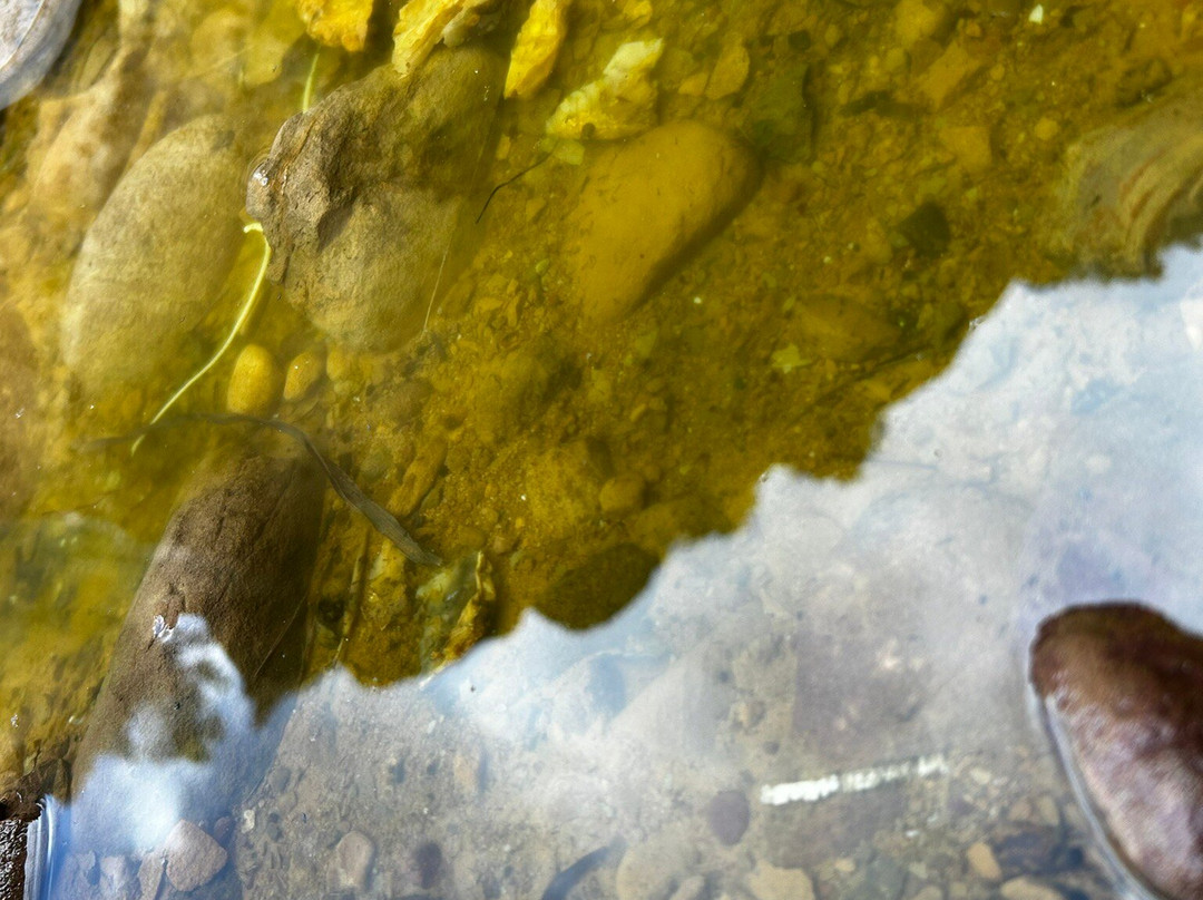 Monde Vertical | Via ferrata - Escalade-马赛必去景点