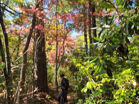 Pisgah Mountain Bike Adventures - Day Tours-阿什维尔必去景点