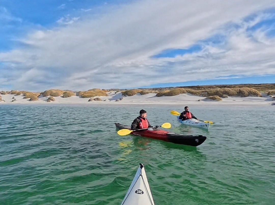 Falklands Outdoors-Stanley必去景点