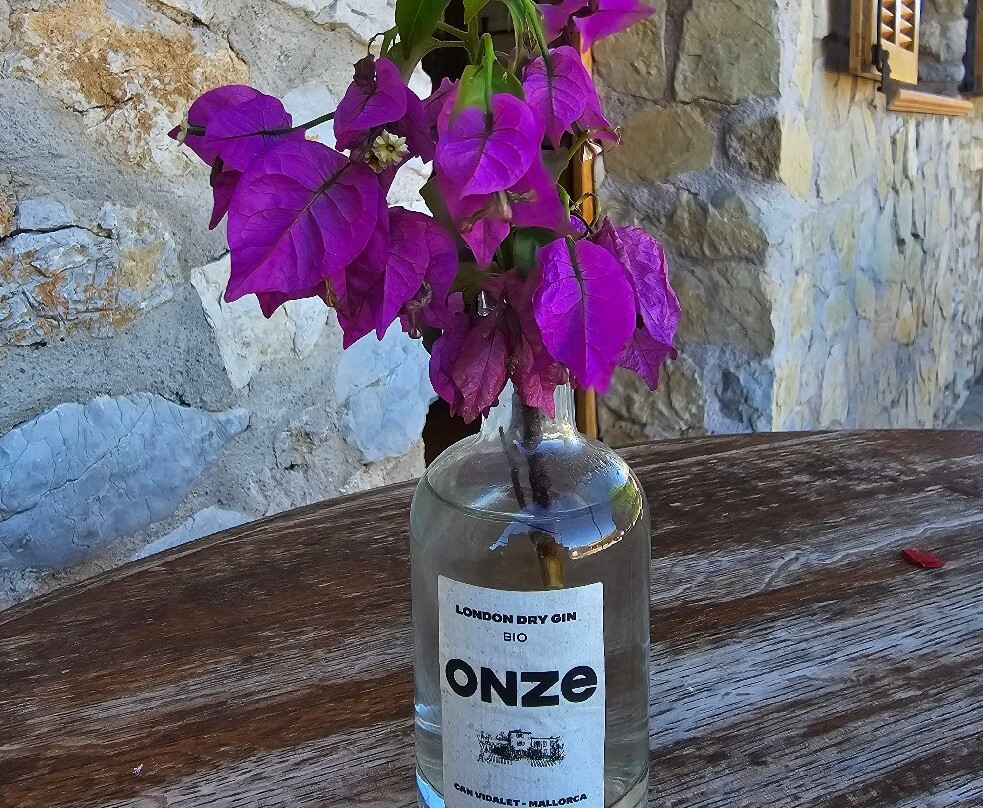 Bodegas Can Vidalet-Pollenca必去景点