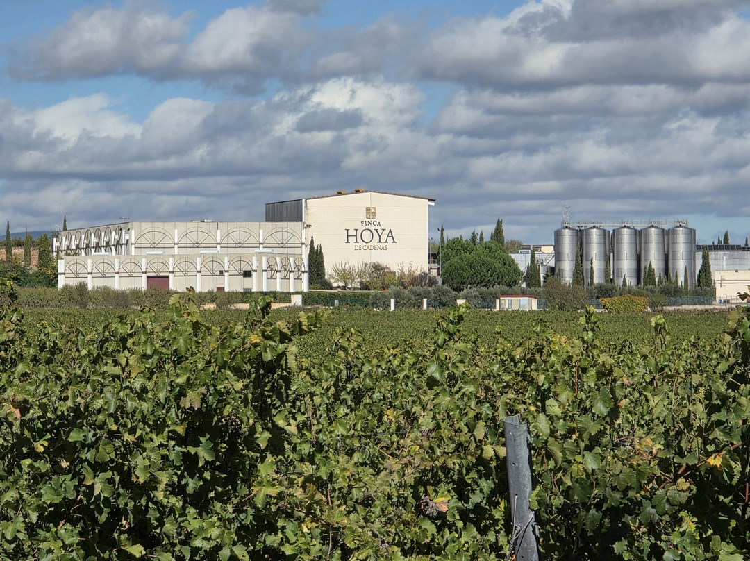 Hoya De Cadenas Estate-Utiel必去景点