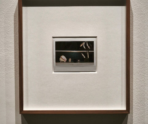 CAMERA - Centro Italiano per la Fotografia-都灵必去景点