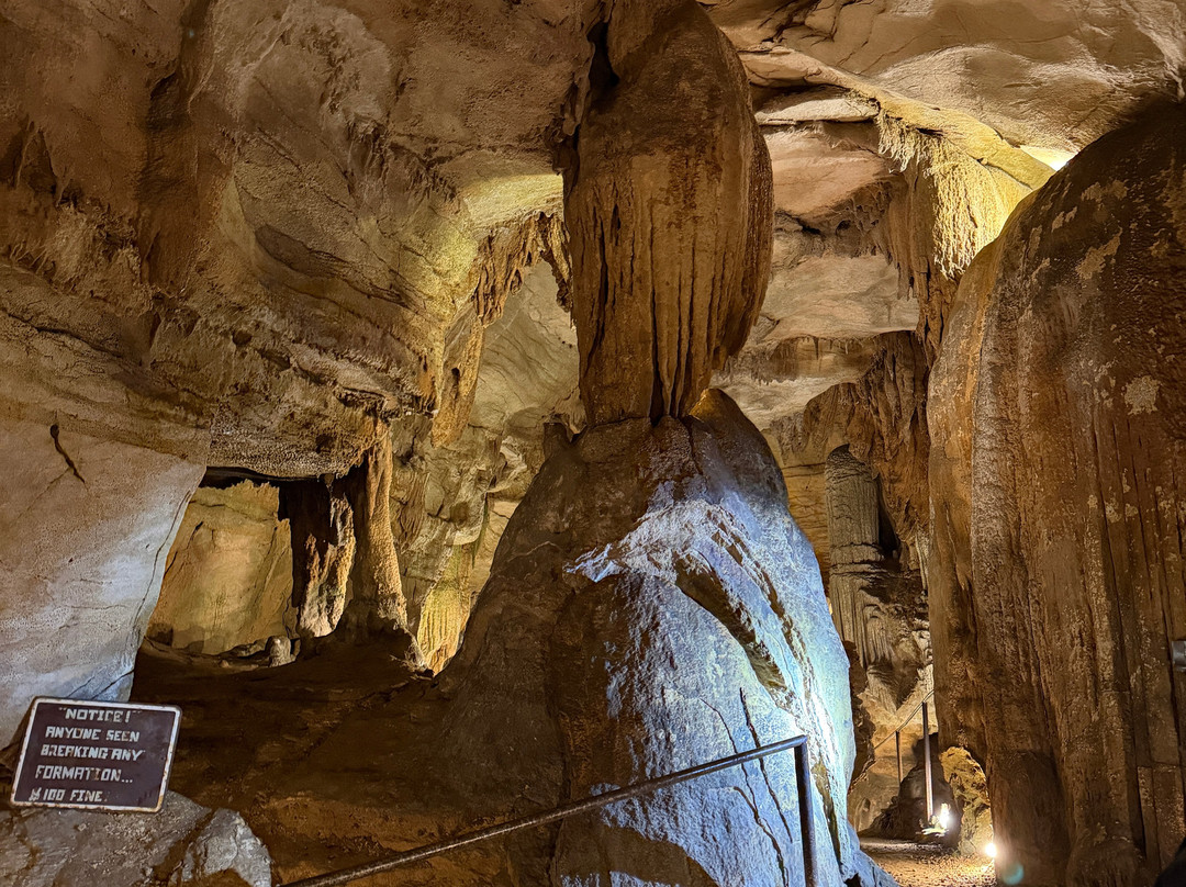 Rickwood Caverns State Park-Warrior必去景点