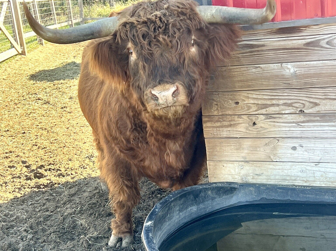 Eagle Eye Farm-River Falls必去景点