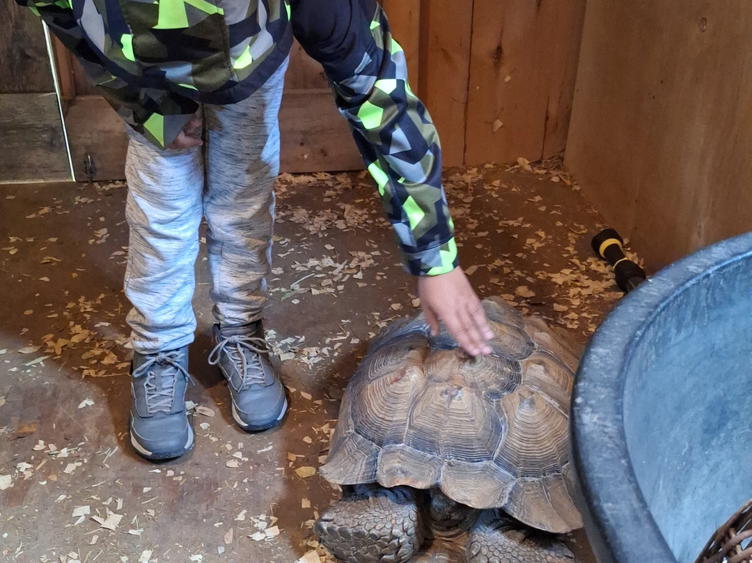 Stokoe Farms-Scottsville必去景点