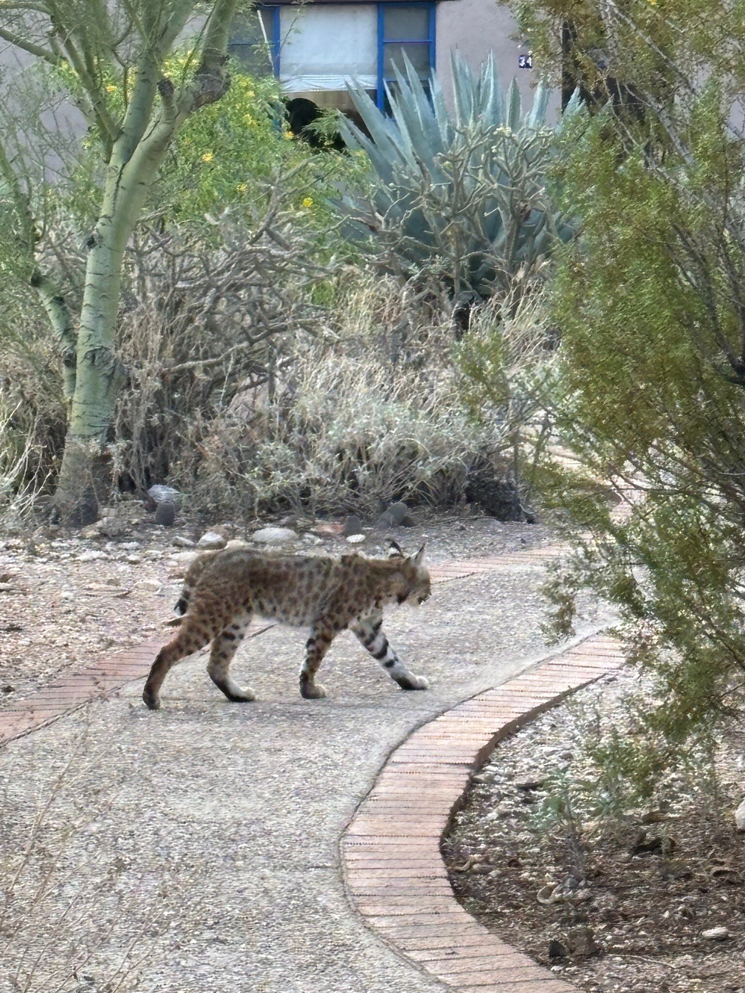 庄园游客牧场度假村-官方