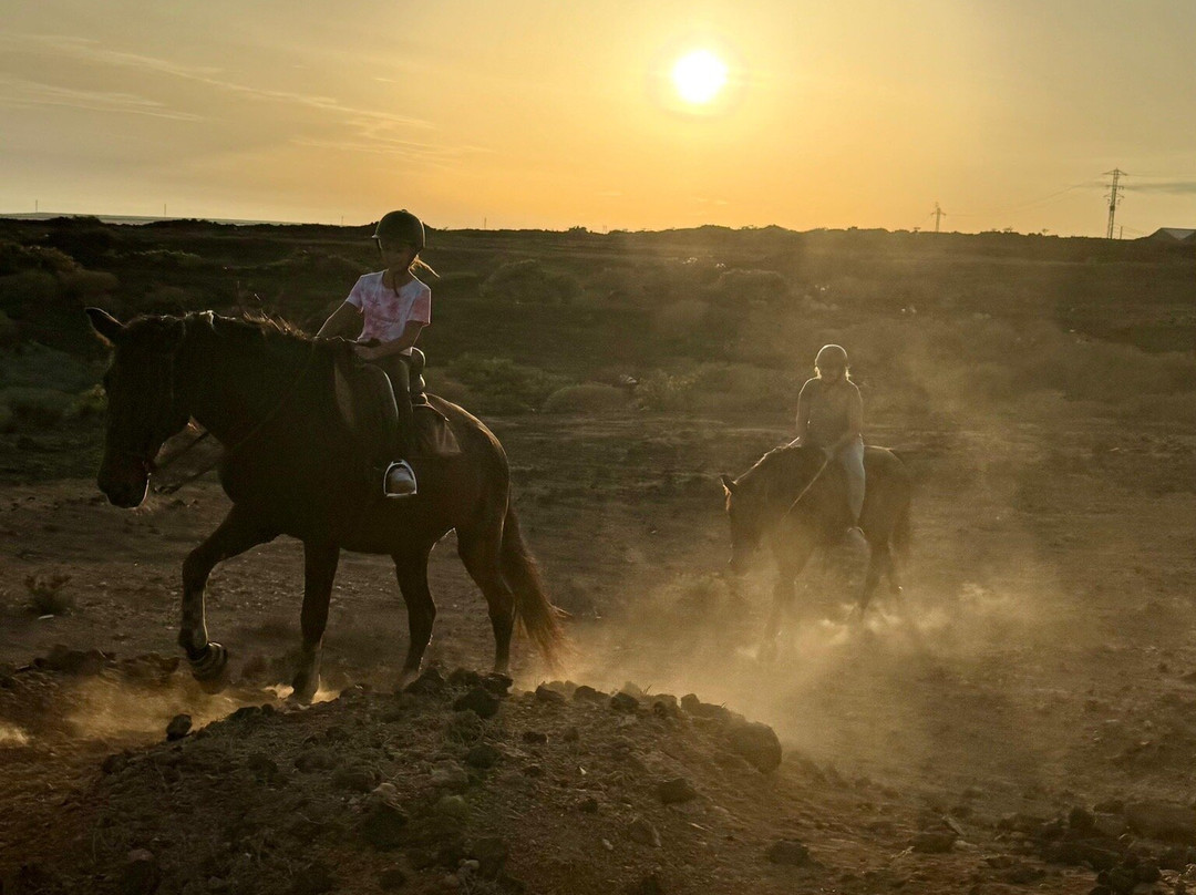 Hipica Cuadras El Medano-El Medano必去景点