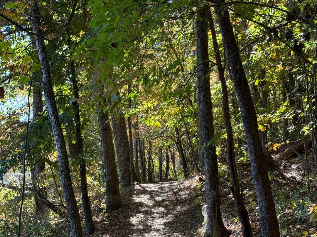 Historic Yates Mill County Park-罗利必去景点