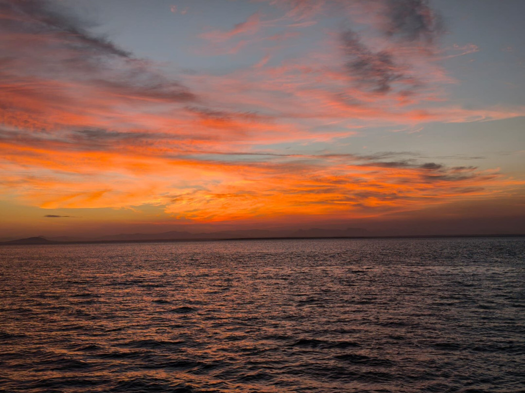 Nomadic Sails-Wasini Island必去景点